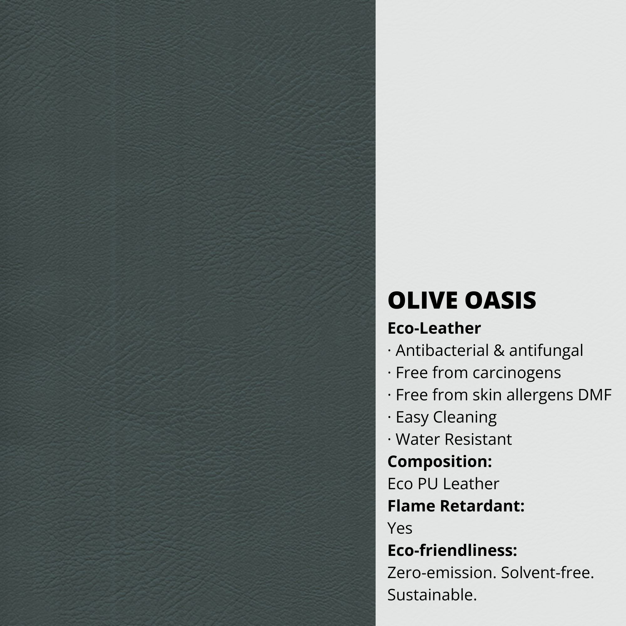 Olive Oasis