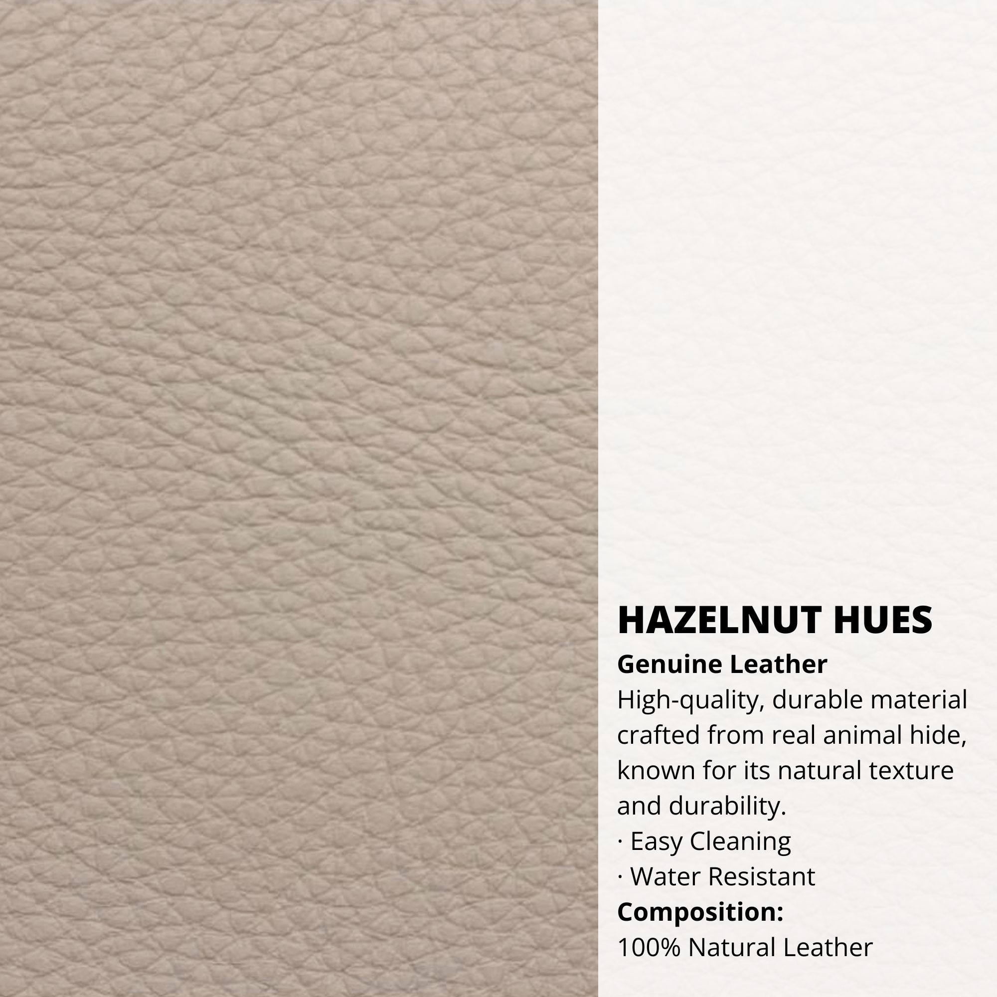 Hazelnut Hues