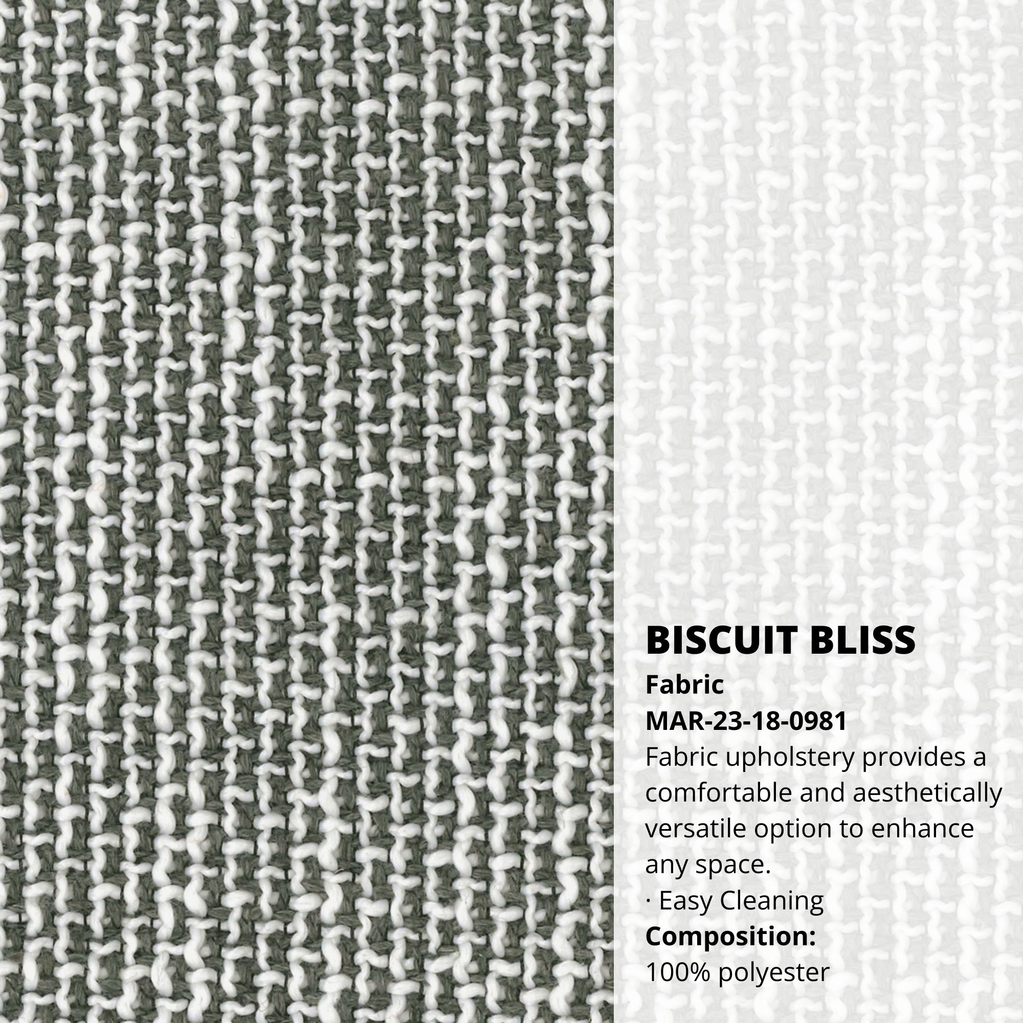 Biscuit Bliss